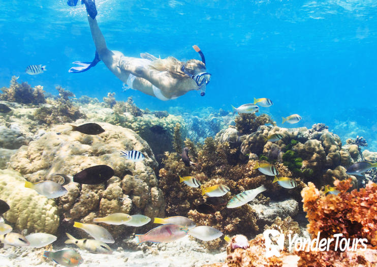 Marinarium Marinarium