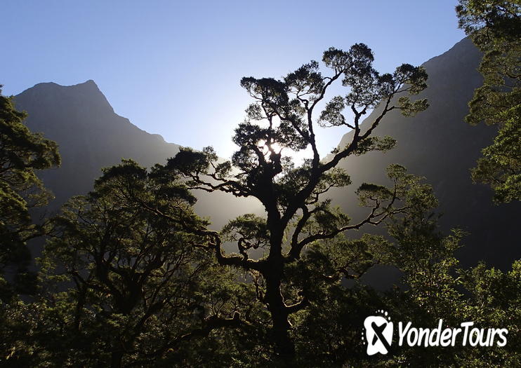 Milford Track Milford Track