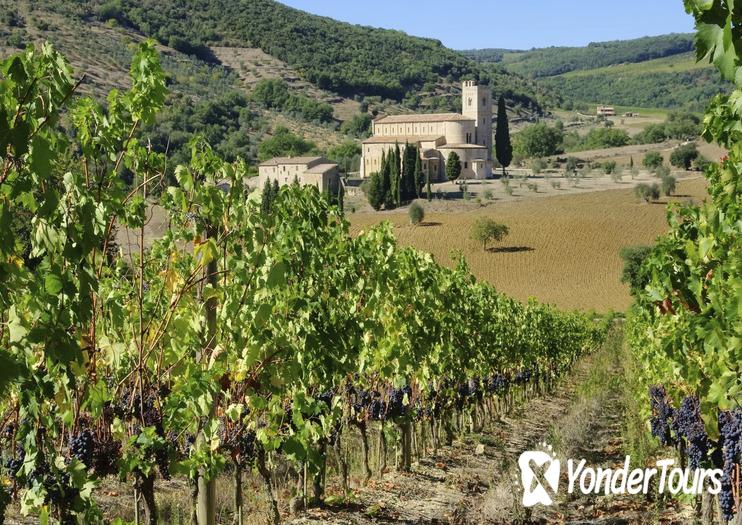 Montalcino Montalcino