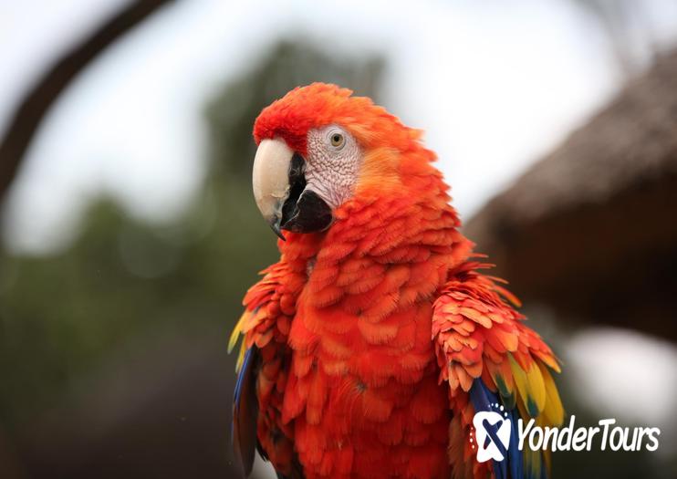 Montecasino Bird Gardens Montecasino Bird Gardens