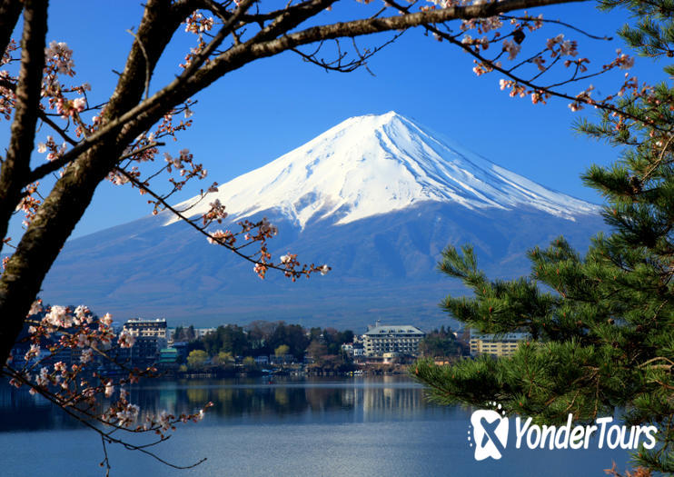 Mount Fuji's 5th Station