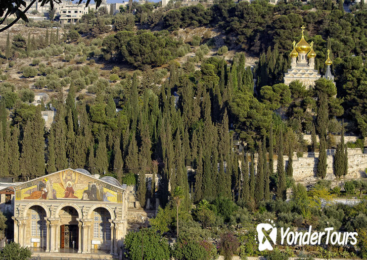 Mount of Olives Mount of Olives