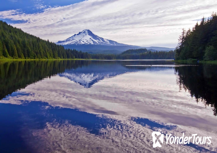 Mt Hood National Forest