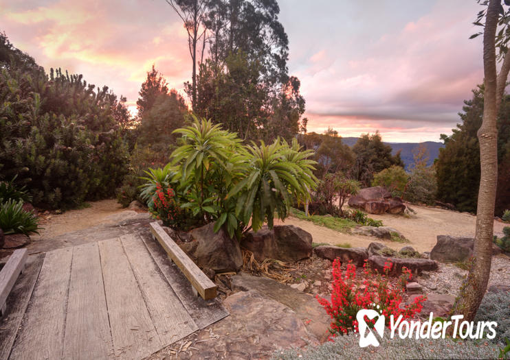 Mt Tomah Botanic Gardens