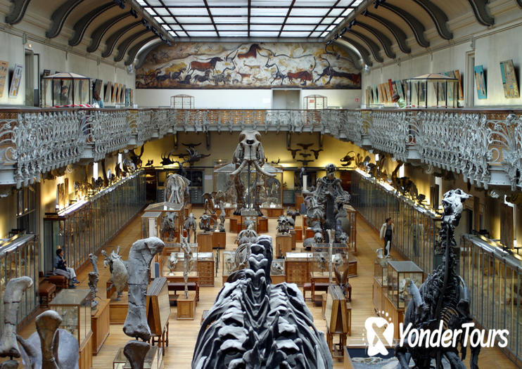 Museum of Natural History (Musee d'Histoire Naturelle) Museum of Natural History (Musee d'Histoire Naturelle)