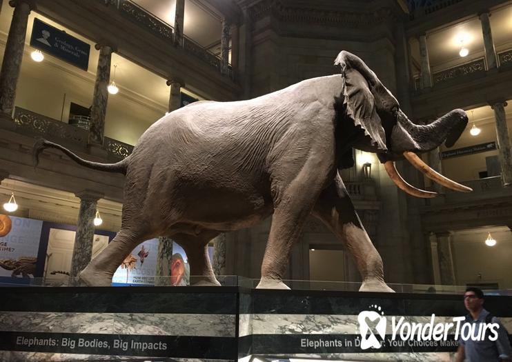 National Museum of Natural History National Museum of Natural History