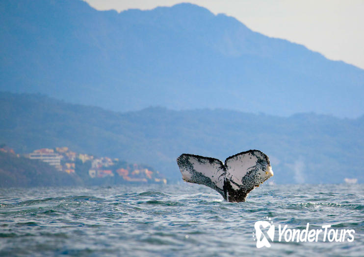 Nuevo Vallarta Nuevo Vallarta