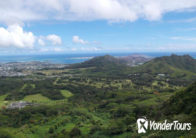 Nuuanu Valley Rain Forest