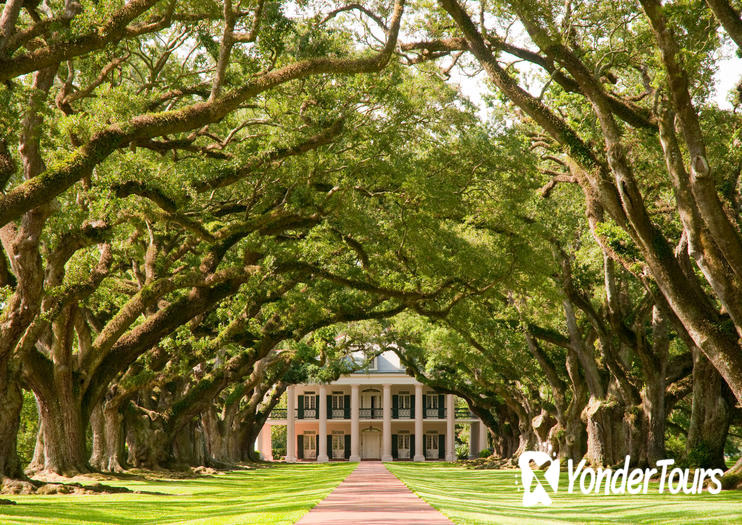 Oak Alley Plantation