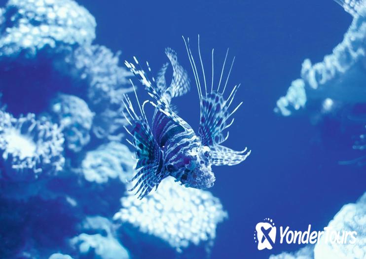 Palma Aquarium Palma Aquarium