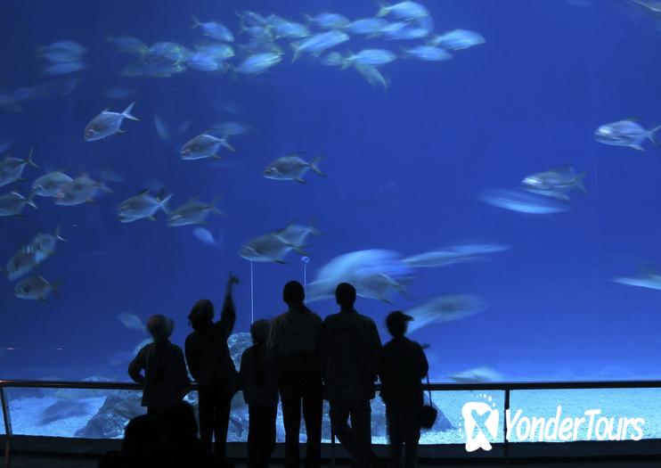 Paris Aquarium (Aquarium de Paris) Paris Aquarium (Aquarium de Paris)