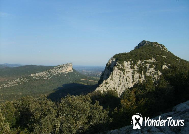 Pic St-Loup Pic St-Loup