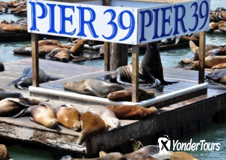Pier 39 Pier 39