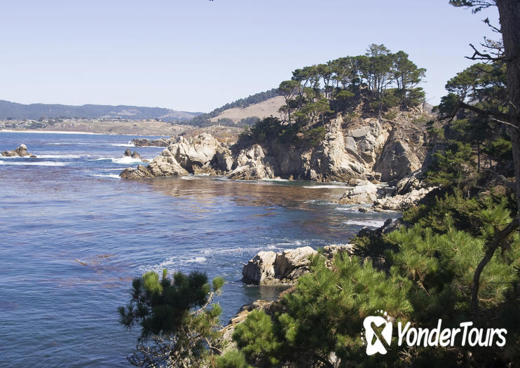 Point Lobos State Natural Reserve