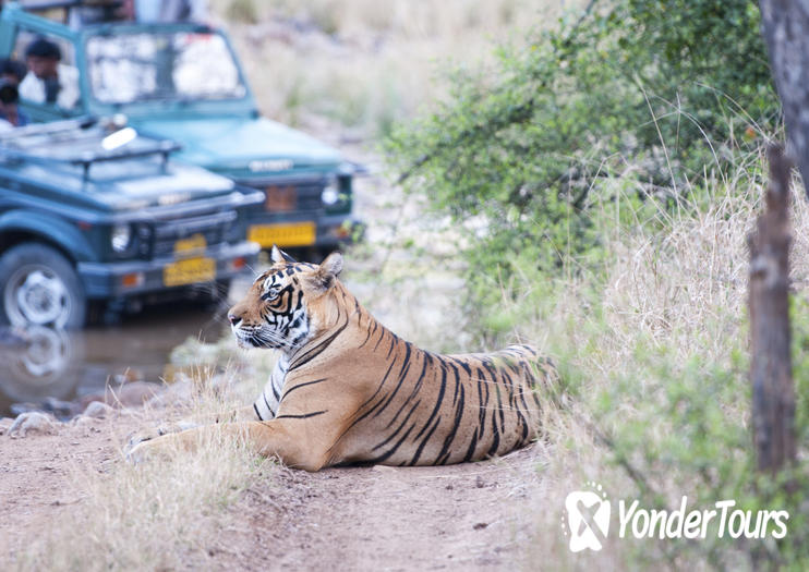 Ranthambore National Park