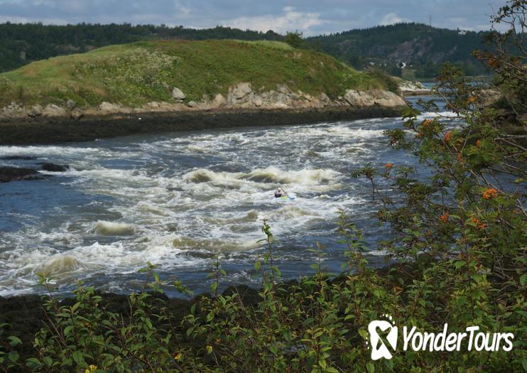 Reversing Falls