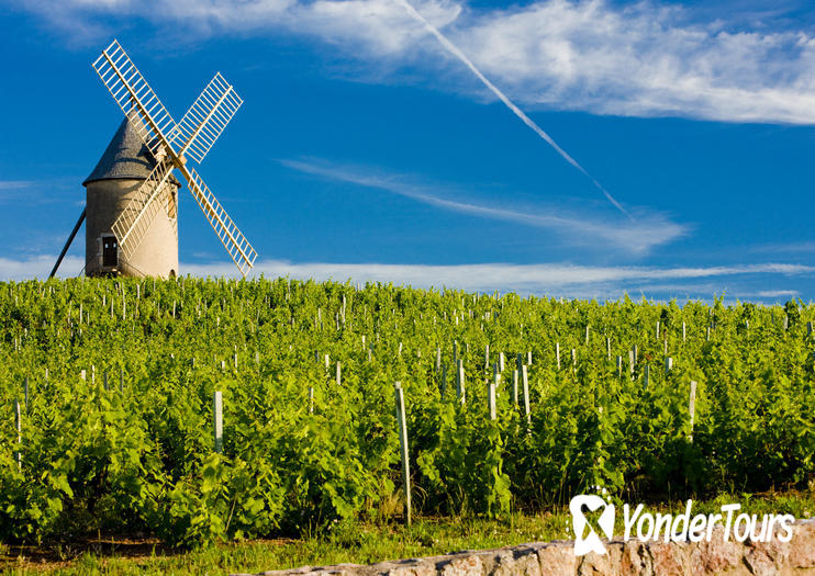 Rhone Valley Region Rhone Valley Region