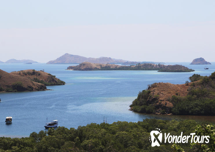 Rinca Island Rinca Island