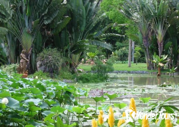 Rio de Janeiro Botanical Garden (Jardim Botanico) Rio de Janeiro Botanical Garden (Jardim Botanico)