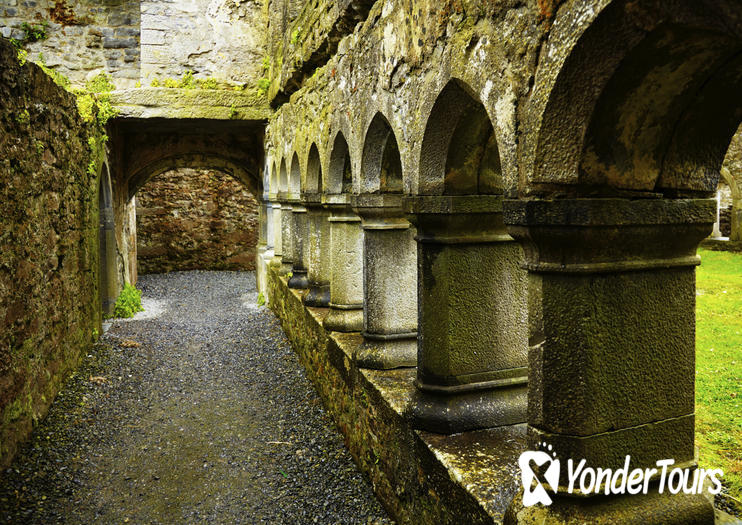 Ross Errilly Friary (Ross Abbey)