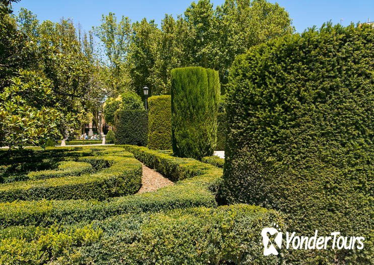 Royal Botanic Garden (Real Jardín Botánico)