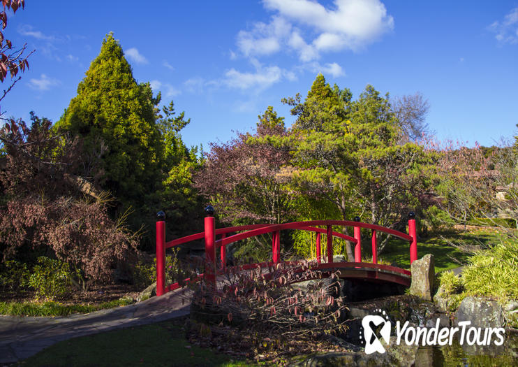 Royal Tasmanian Botanical Gardens