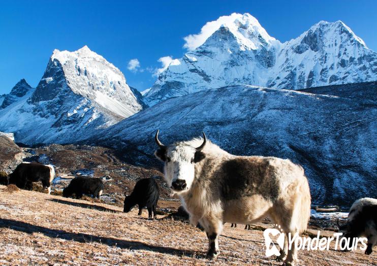 Sagarmatha National Park