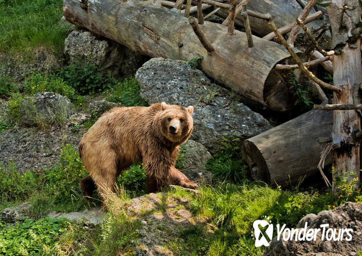 Salzburg Zoo