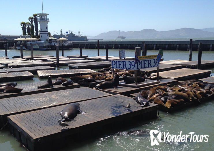 San Francisco Cruise Port