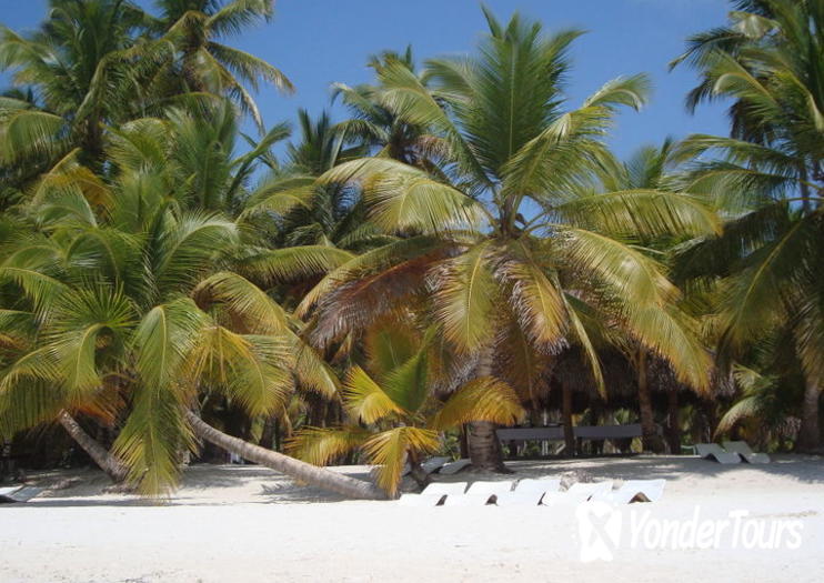 Saona Island (Isla Saona) Saona Island (Isla Saona)