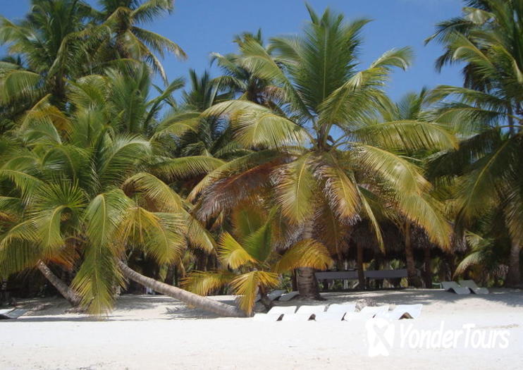 Saona Island (Isla Saona)