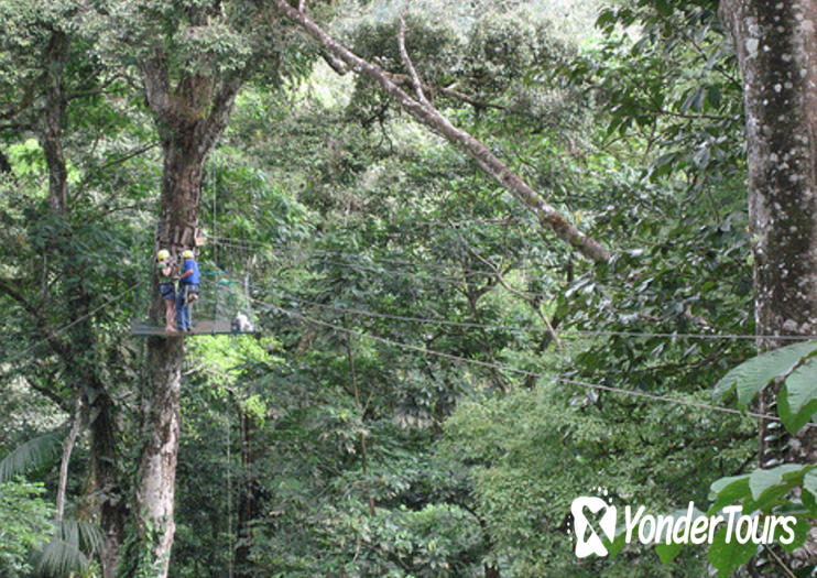 Sarapiqui Canopy Sarapiqui Canopy