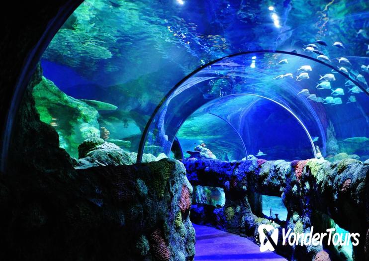SEA LIFE - Charlotte-Concord Aquarium SEA LIFE - Charlotte-Concord Aquarium