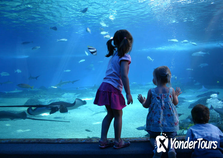 Sea Life Munich Sea Life Munich