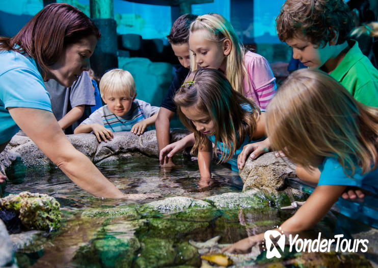 Sea Life Orlando Sea Life Orlando