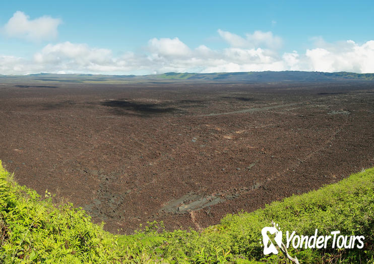 Sierra Negra Volcano