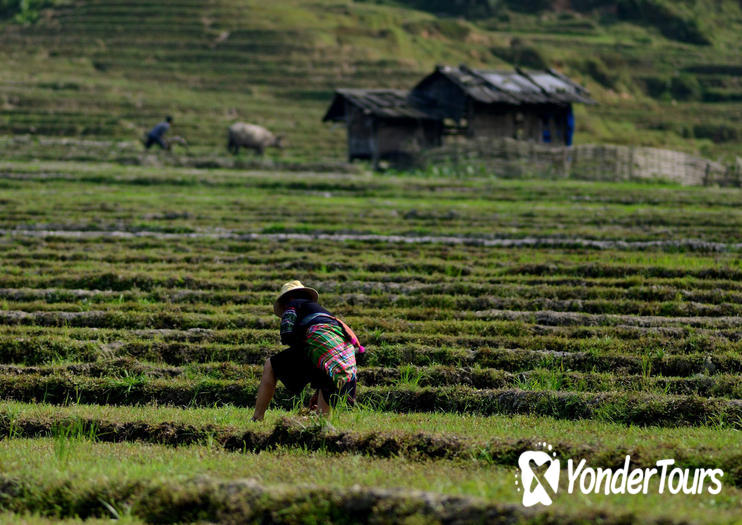 Sin Chai Village