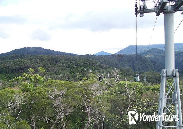 Skyrail Cableway Skyrail Cableway