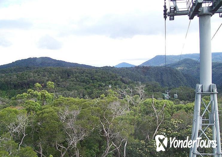 Skyrail Cableway