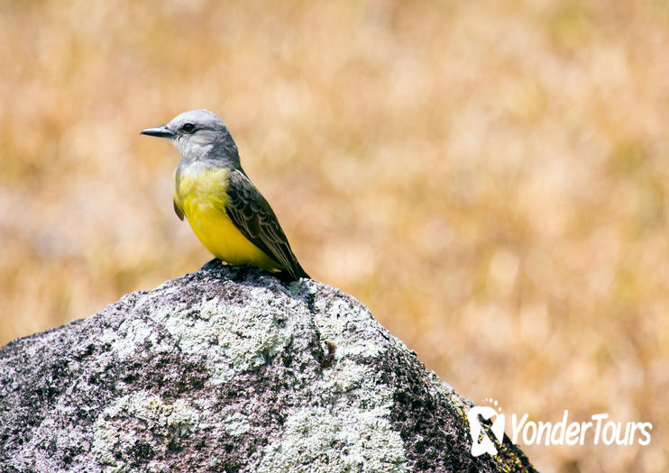 Soberania National Park