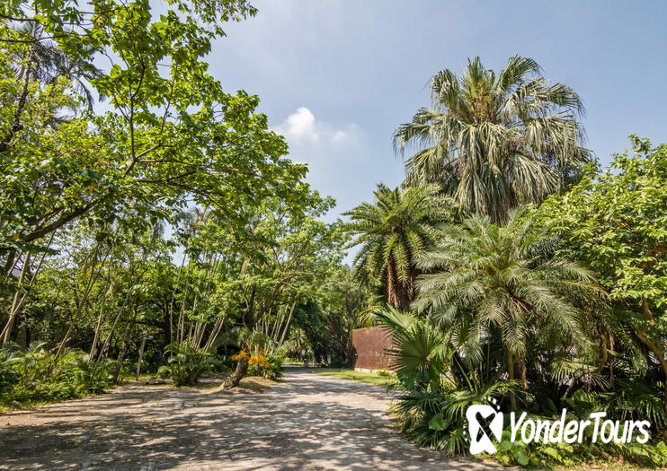 Songshan Cultural and Creative Park Songshan Cultural and Creative Park