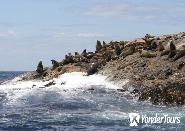 South Bruny National Park