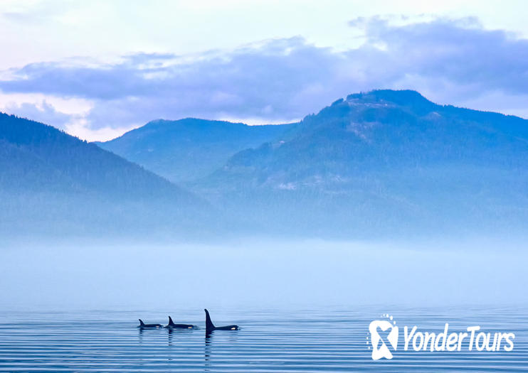 Strait of Juan de Fuca