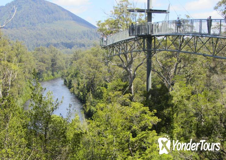 Tahune Forest AirWalk