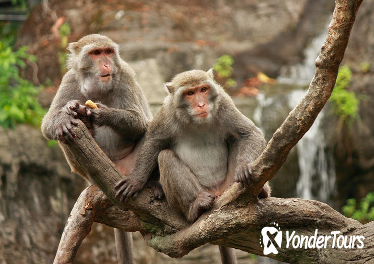 Taipei Zoo Taipei Zoo