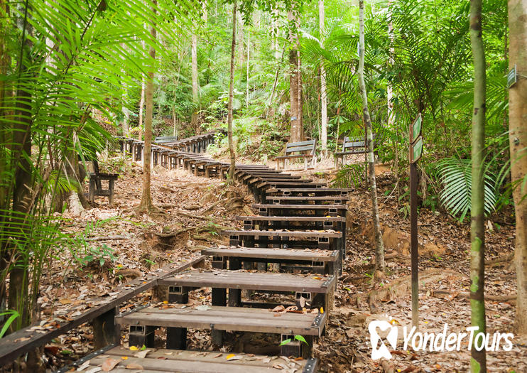 Taman Negara National Park