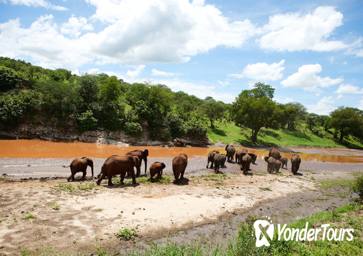 Tarangire National Park