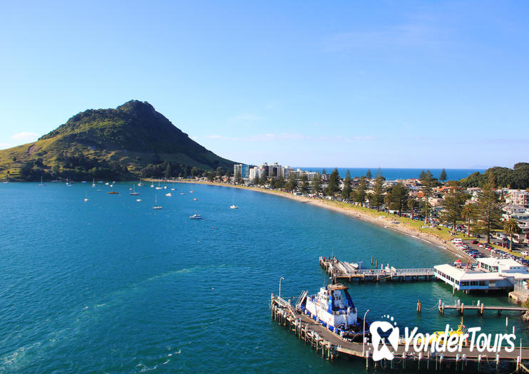 Tauranga Cruise Port