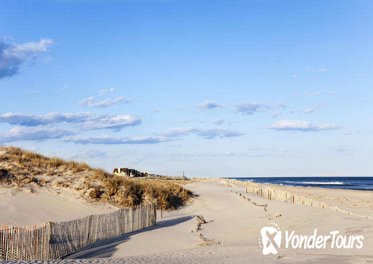 The Hamptons The Hamptons
