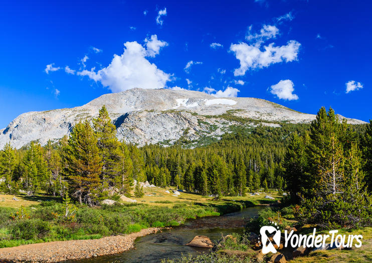 Tioga Pass